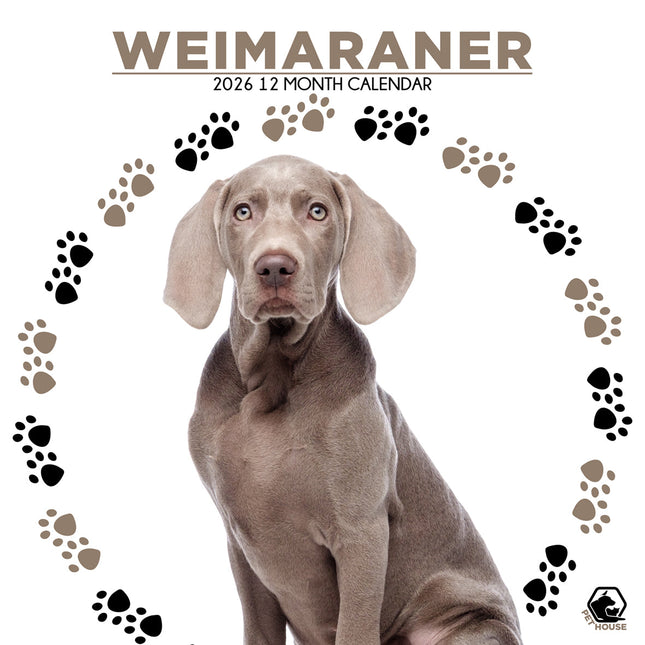 CalendarsRUs Weimaraner Kalender 2026