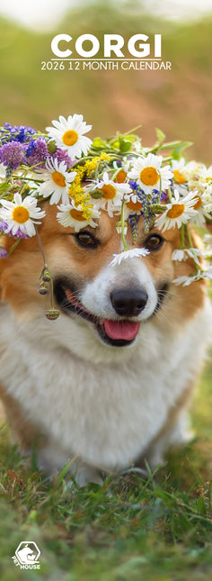 CalendarsRUs Welsh Corgi Slimline Kalender 2026