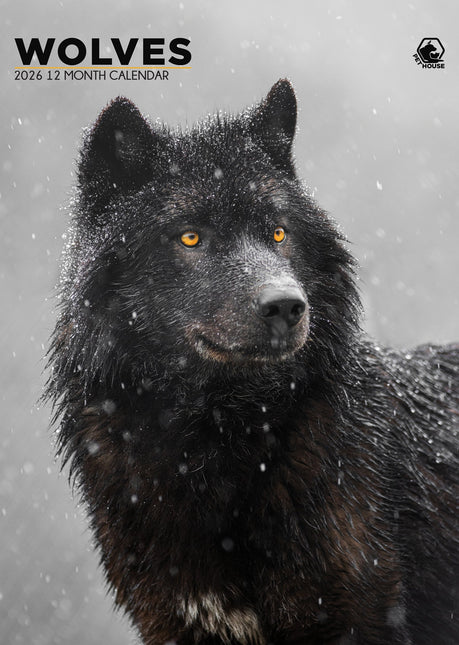 CalendarsRUs Wolven A3 Kalender 2026