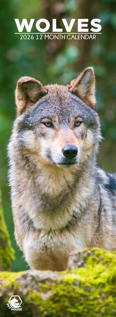 CalendarsRUs Wolven Slimline Kalender 2026
