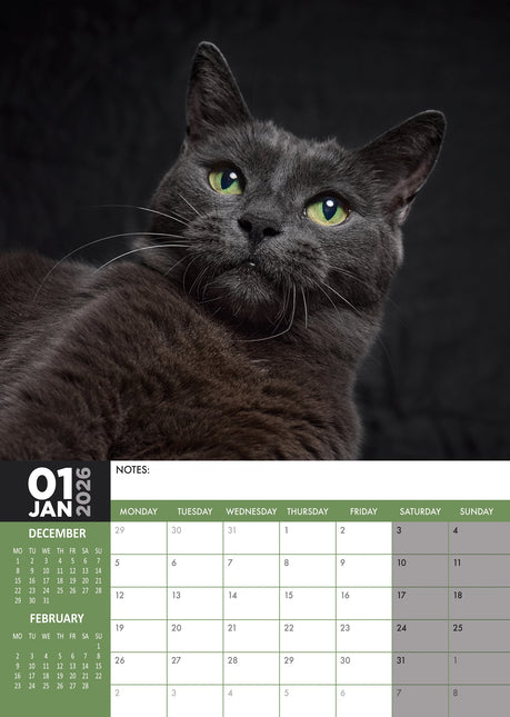 CalendarsRUs Zwarte Katten A3 Kalender 2026
