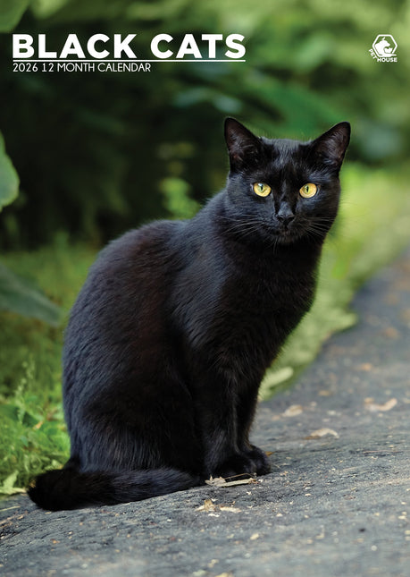 CalendarsRUs Zwarte Katten A3 Kalender 2026