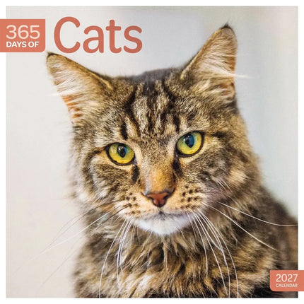 CarouselCalendars 365 Dagen Katten Kalender 2027