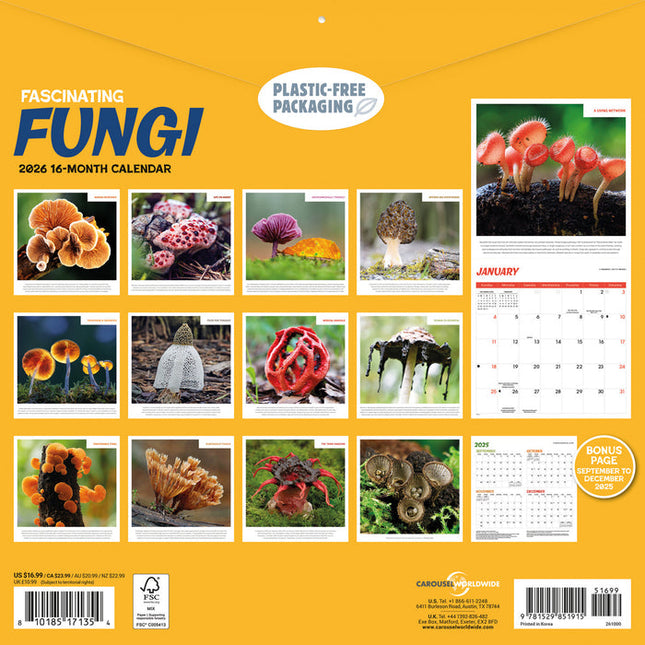CarouselCalendars Bijzondere Paddenstoelen Kalender 2026