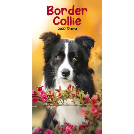 CarouselCalendars Border Collies Slim Agenda 2027