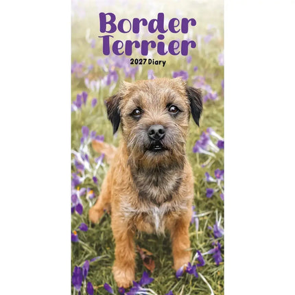 CarouselCalendars Border Terrier Slim Agenda 2027