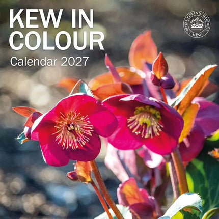 CarouselCalendars Botanische tuinen, Kew In Kleur Kalender 2027