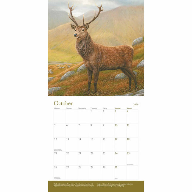 CarouselCalendars British Wildlife Kalender 2026