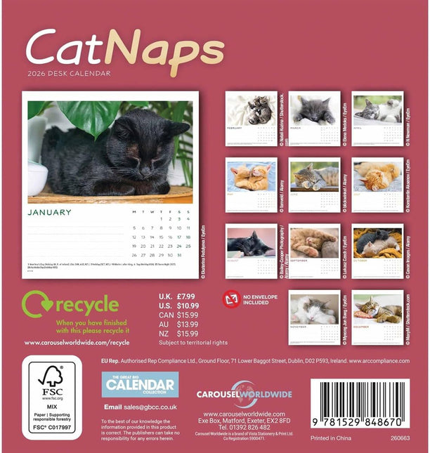 CarouselCalendars Cat Naps Deskkalender 2026
