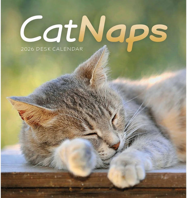 CarouselCalendars Cat Naps Deskkalender 2026