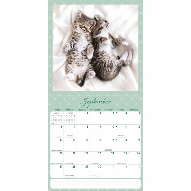 CarouselCalendars Cat Naps Kalender 2026