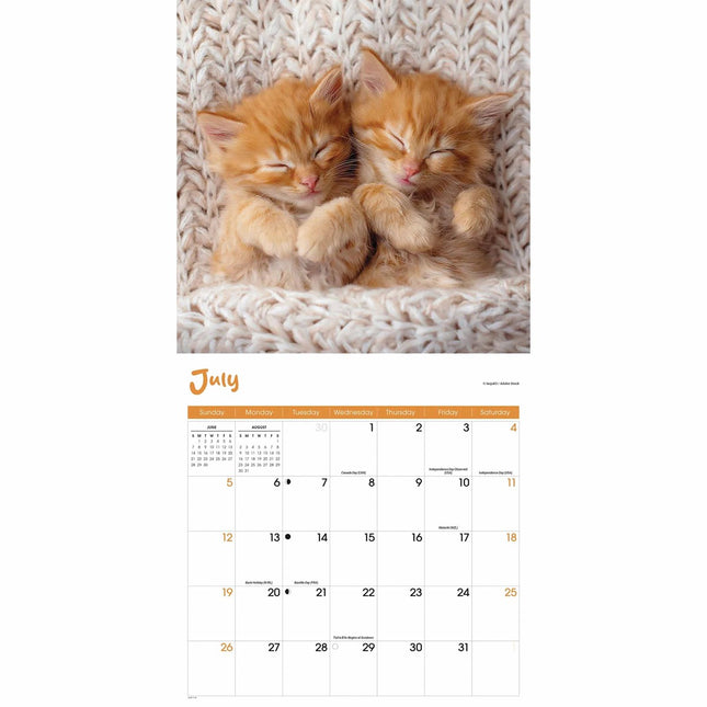 CarouselCalendars Cat Naps Kalender 2026