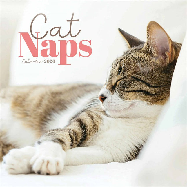 CarouselCalendars Cat Naps Mini Kalender 2026