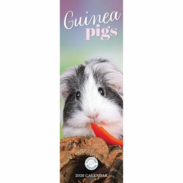 CarouselCalendars Cavia Kalender 2026 Slimline