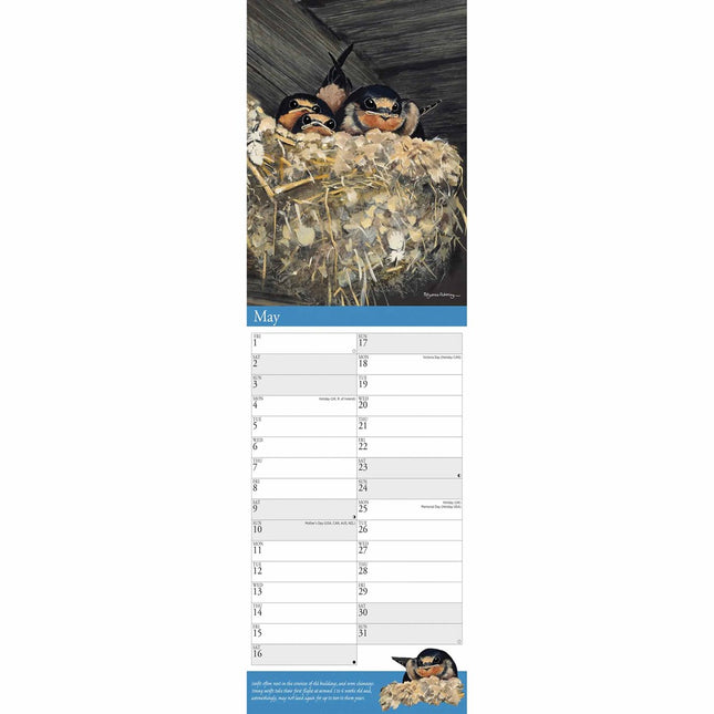 CarouselCalendars Garden Birds P. Pickering Kalender 2026 Slimline