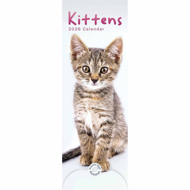 CarouselCalendars Kittens Kalender 2026 Slimline