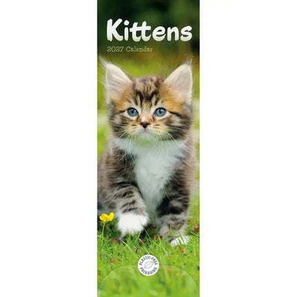 CarouselCalendars Kittens Kalender 2027 Slimline