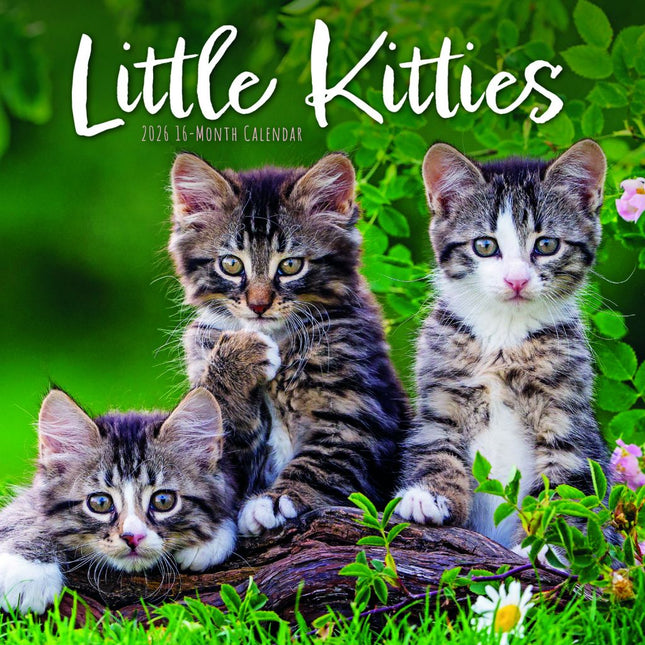 CarouselCalendars Kleine Kittens Kalender 2026