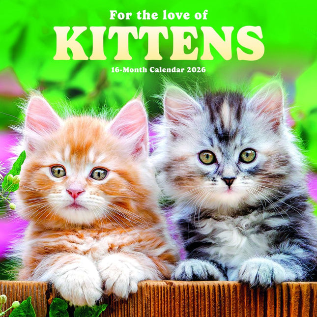 CarouselCalendars Love of Kittens Kalender 2026