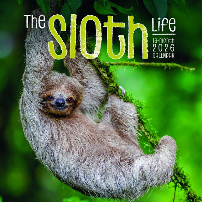 CarouselCalendars Luiaard Kalender 2026