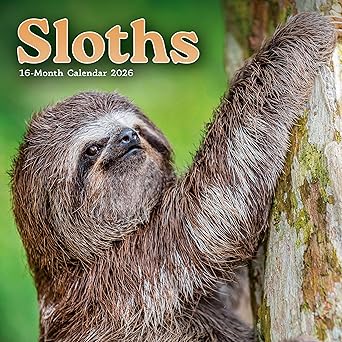 CarouselCalendars Luiaard Kalender 2026 Mini