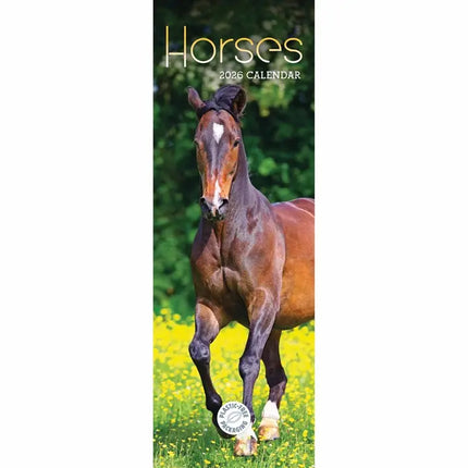 CarouselCalendars Paarden Kalender 2026 Slimline