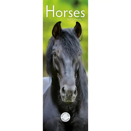 CarouselCalendars Paarden Kalender 2027 Slimline