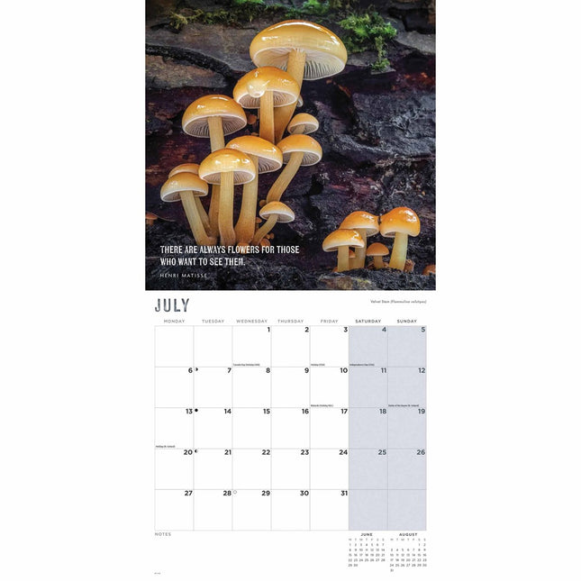 CarouselCalendars Paddenstoelen Kalender 2026