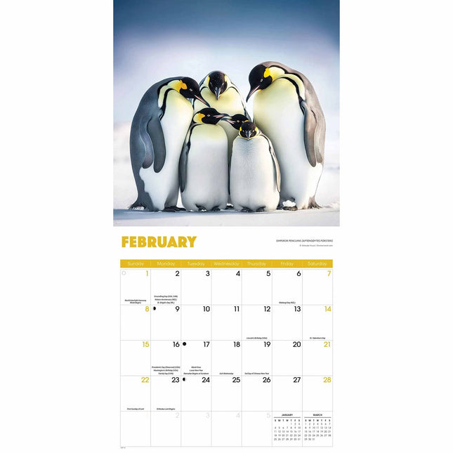 CarouselCalendars Pinguïns Kalender 2026