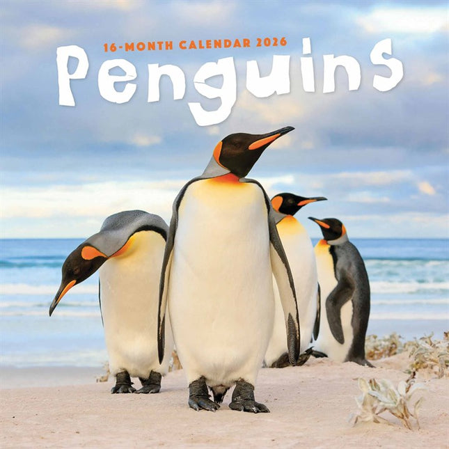CarouselCalendars Pinguïns Kalender 2026
