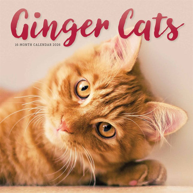 CarouselCalendars Rode Katten Kalender 2026