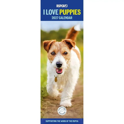 CarouselCalendars RSPCA, I Love Puppies Slim kalender 2027