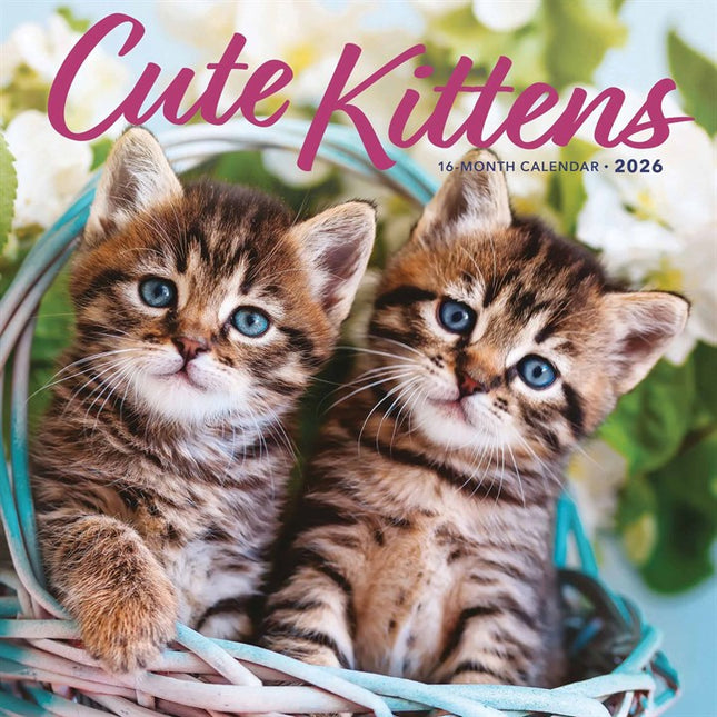 CarouselCalendars Schattige Kittens Kalender 2026
