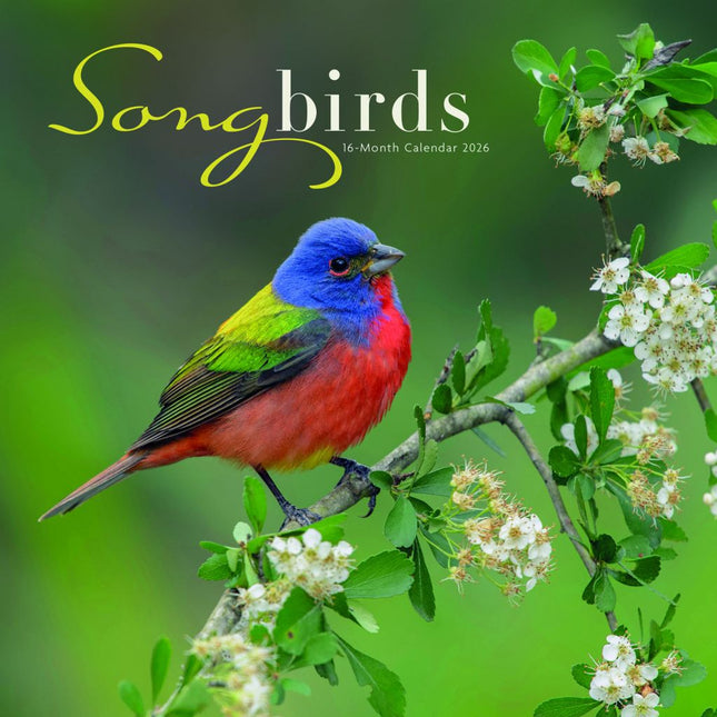 CarouselCalendars Songbirds Kalender 2026