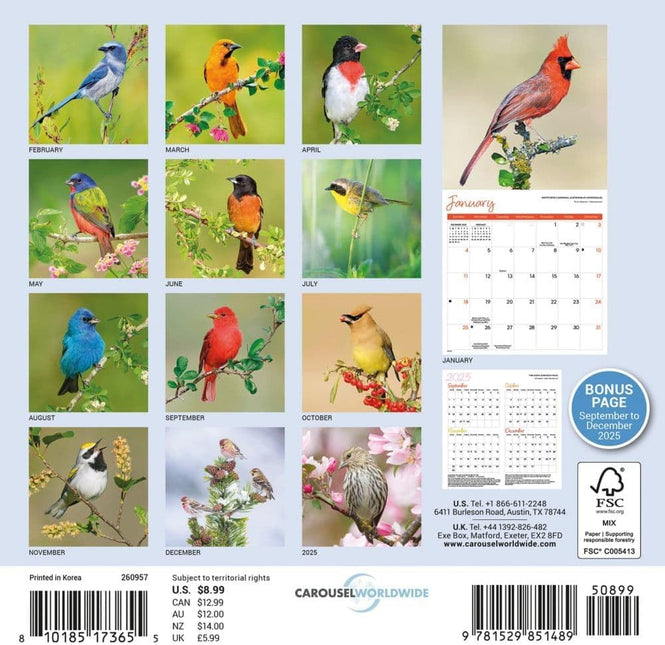 CarouselCalendars Songbirds Kalender 2026 Mini