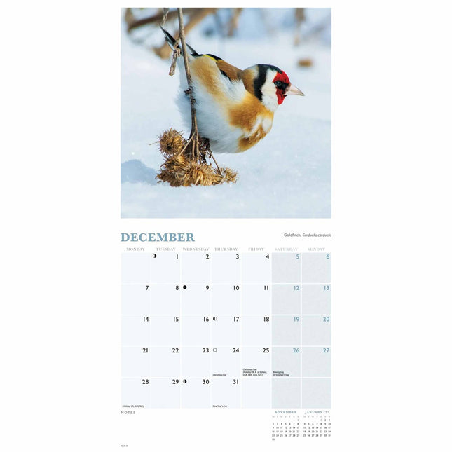 CarouselCalendars Tuinvogels Kalender 2026 Mini