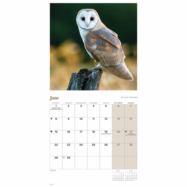 CarouselCalendars Uilen Kalender 2026 Mini