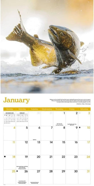 CarouselCalendars Vissen Kalender 2026