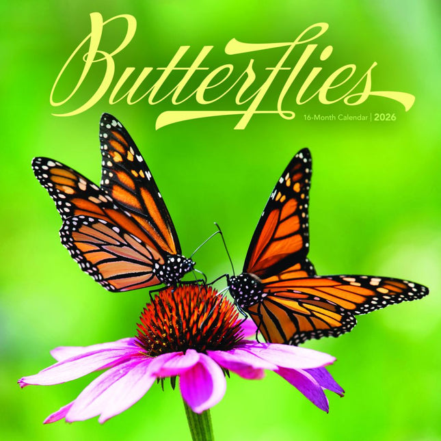 CarouselCalendars Vlinders Kalender 2026