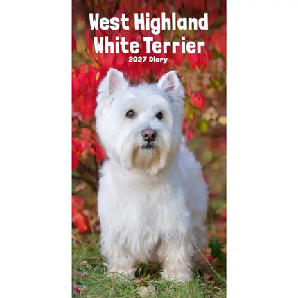 CarouselCalendars West Highland White Terrier Slim Agenda 2027