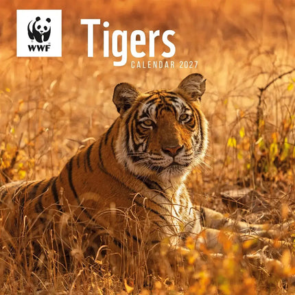 CarouselCalendars WWF Tijger Kalender 2027