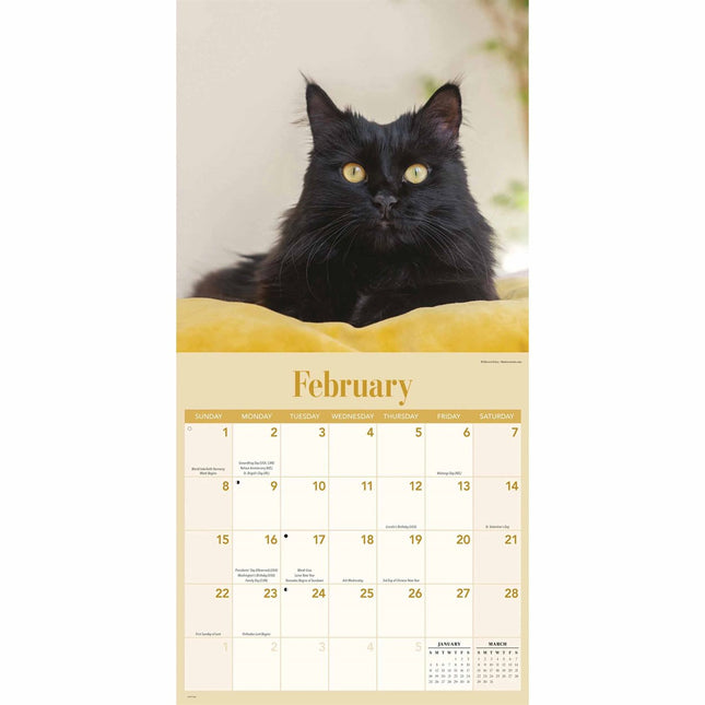 CarouselCalendars Zwarte Katten Kalender 2026