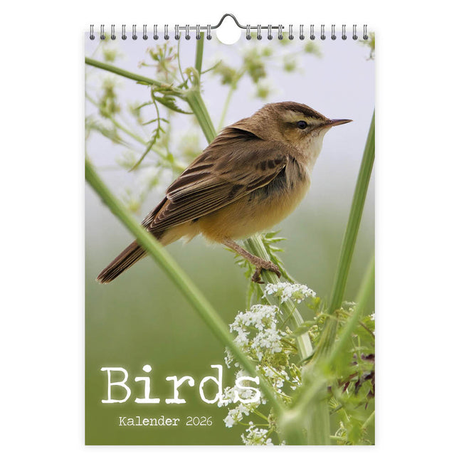 Comello Birds Kalender 2026