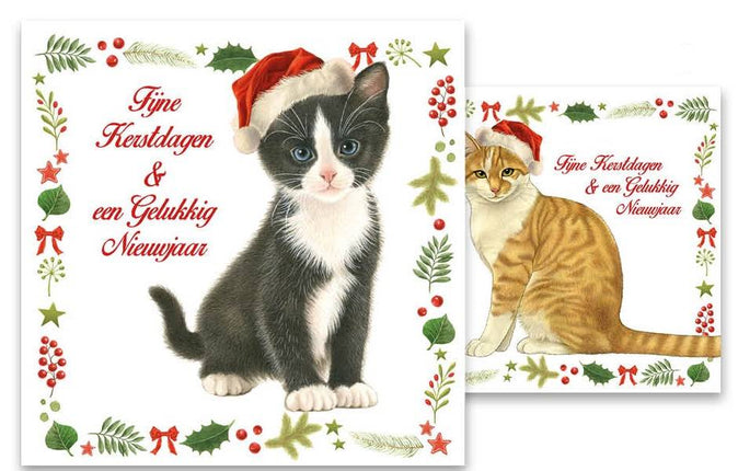 Comello Franciens Katten Kerstkaarten