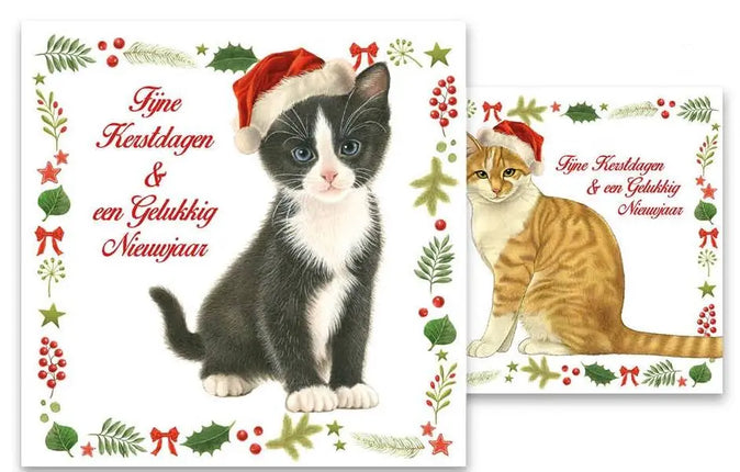 Comello Franciens Katten Kerstkaarten