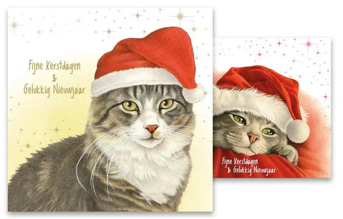 Comello Franciens Katten Kerstkaarten