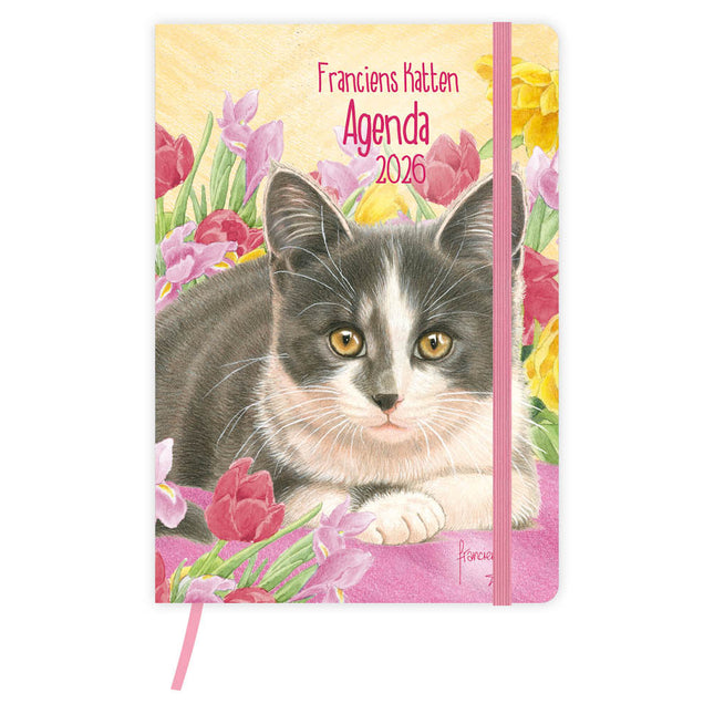 Comello Franciens Katten Weekagenda 2026 Tibbe
