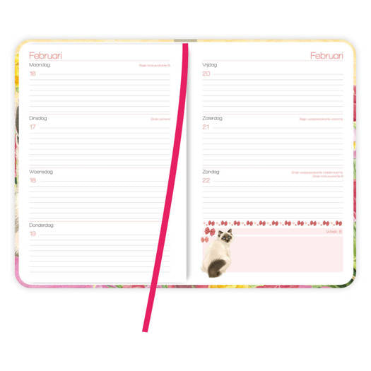 Comello Franciens Katten Weekagenda 2026 Tibbe