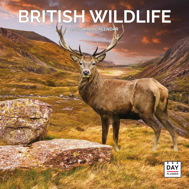 Dayplanner British Wildlife Kalender 2026