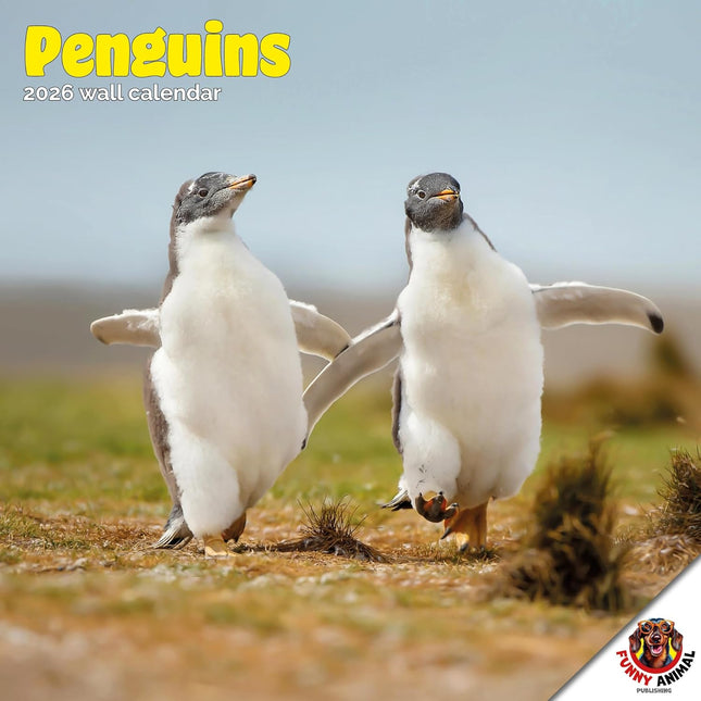 Dayplanner Pinguïns Kalender 2026